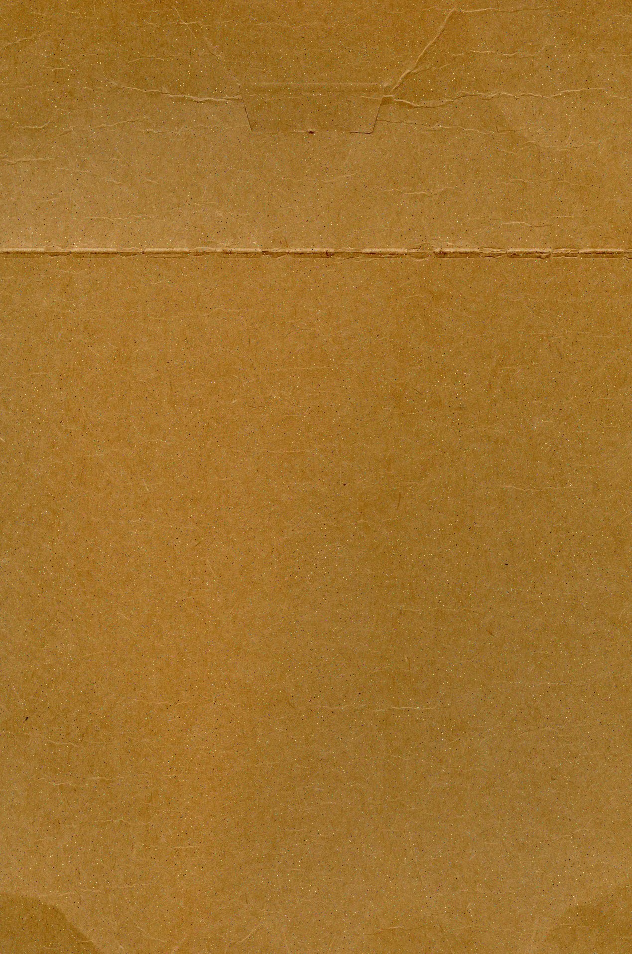 Tag close-up